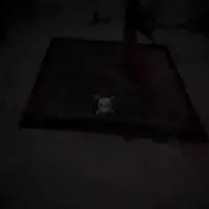 دوستمان قاتله
