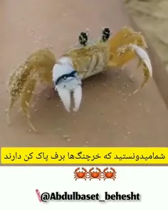 ✍ نظراتتون برای ما ارزشمند لطفا کامنت کنید👍❤