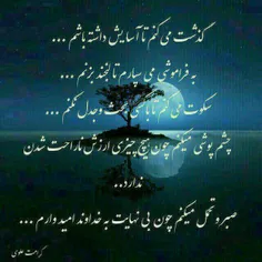 شعر و ادبیات majidta 26423301