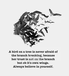 پرنده‌ای که روی شاخه نشسته هیچوقت نمیترسه شاخه بشکنه، چون