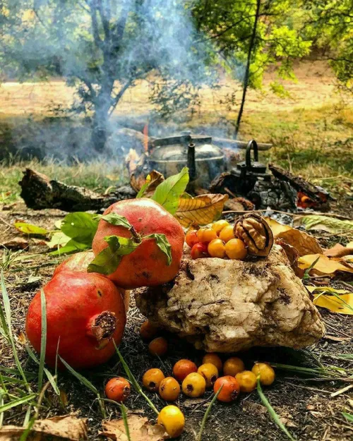 از قشنگیای پاییز....🍂