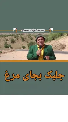 به جای مرغ جلبک مصرف کنید 🤦