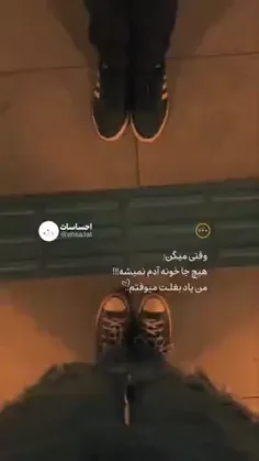 گلبمم 🤭❤