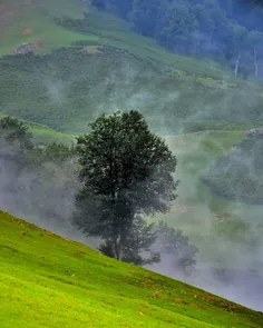 طبیعت زیبا در حواشی جاده اسالم به خلخال 🍀☘🌹