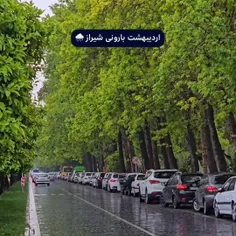 #شیراز #باران #سنگ #گل #اردیبهشت