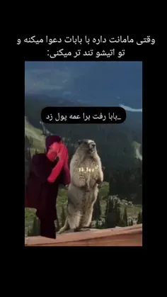 منی که عمه ندارم😂👍