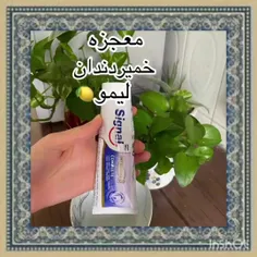 اشپزی ترفند