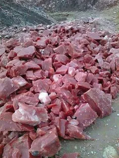 سنگهایی که به شکل تکه های گوشت هستند