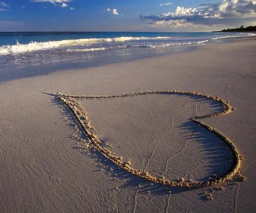 پهناور باش چون دریا قلب های تنها ساحل درخود فرابگیر