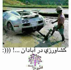 هم استانی این برای شما .ولک راسته ها