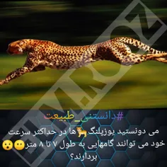 الکی نیست شده سریع‌ترین تو خشکی 😶😯😎