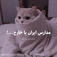 فالو و لایک یادت نره