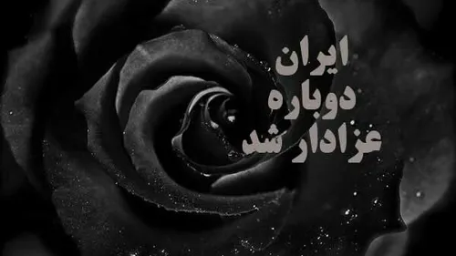 ۳۰ دی/۲۴ دی