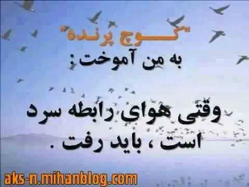 کوچ کردم