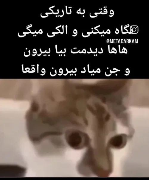 فکر این کار هیچ وقت به سرت نزنه من لازمت دارم