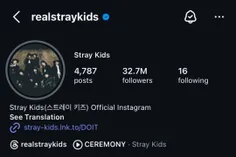 stray kids instagram up 