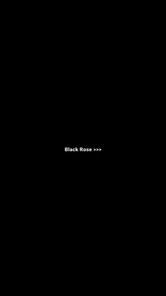 Black Rose>>>