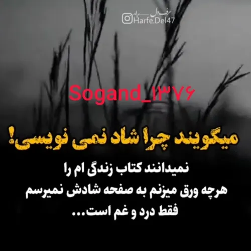  sogandam_76_13 48894759 - عکس ویسگون