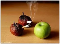 سیگاری ها توجه داشته باشن