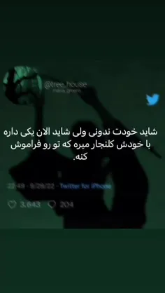 شاید هیچ وقت نفهمی 