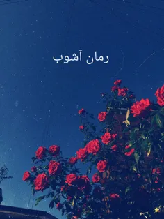 معرفی رمان.... آشوب