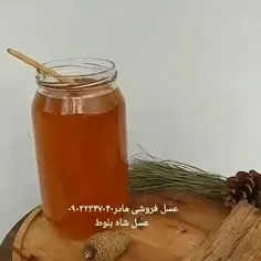 عسل طبیعی شاه بلوط 