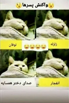 حقیقت محض😂😂