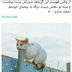 من هنوزم با اینکه میدونم دهنش نیست ولی بازم بعضی وقتا اشت