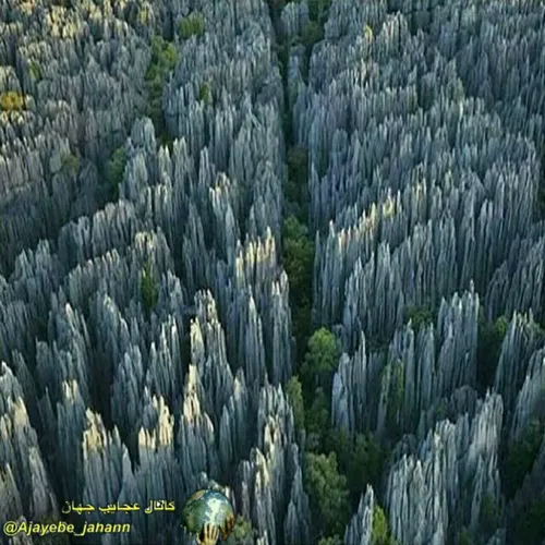 نمایی حیرت انگیز از سنگ های 290 میلیون ساله که همچون درخت