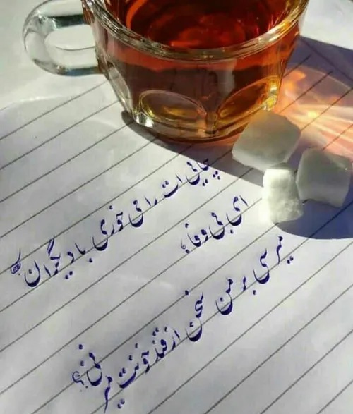 حکایت خیلیا 🌵