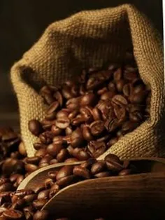 تحقیقات نشان میدهد آنتی اکسیدانهای موجود در «قهوه تلخ» 