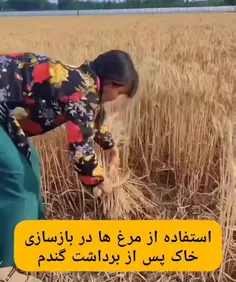 *پیج شگفت انگیز ویسگون*تشکرازلایک و حضورتون*