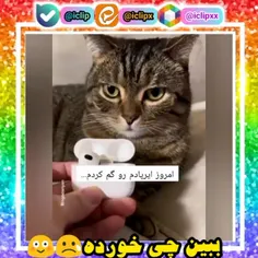 ❤کلی کلیپ  باحال داخل پیج گذاشتم ❤