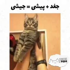 قلبون جیشی