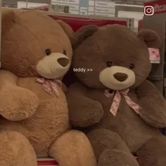 تدی گوگولیهههه🥺🐻🧸🖇