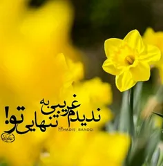 خدایا به روی درخشان مهدی