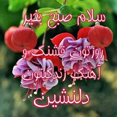 عکس نوشته parnianweb 25266563