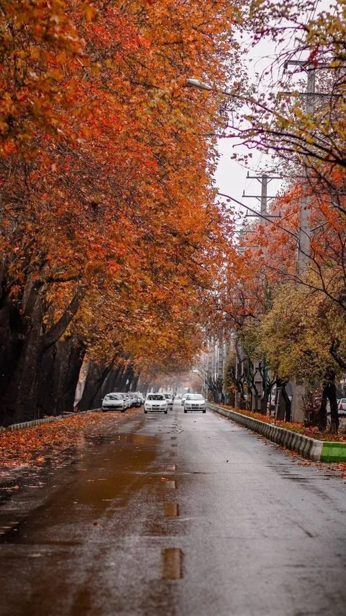 سلام به واپسین روزهای پاییزی 🍁🧡