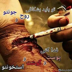 عکس نوشته fastandfurious 13582780