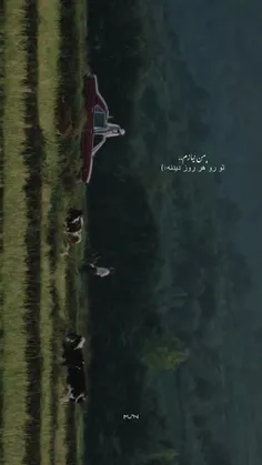 من نیازم تو رو هر روز دیدنه ❤️