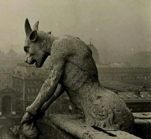 🔺مجسمه Gargoyle کلیسای نوتردام درحال تماشای پاریس سال 191