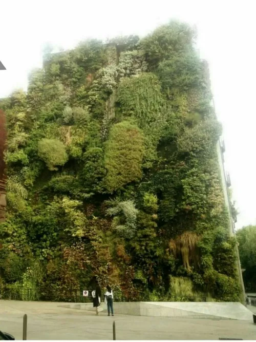 ساختمانی بلند و پوشیده از گیاه در مادرید اسپانیا