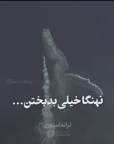 دکتر میدونی نهنگ ها خیلی بدبختن🥀🖤