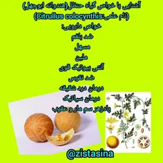 آموزشگاه آزاد فنی و حرفه ای زیست سینا