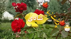 #شادی