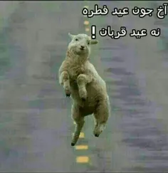 اخی