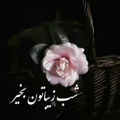 ✨امشب