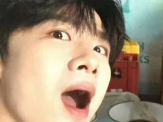 ┏━━━━━━━🌙━━━━━━━┓