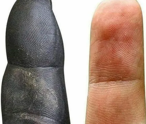 مقایسه انگشت اشاره انسان و شامپانزه!