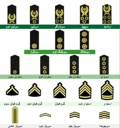 ما که دیدیم همه میگن جناب سروان به نظامی ها